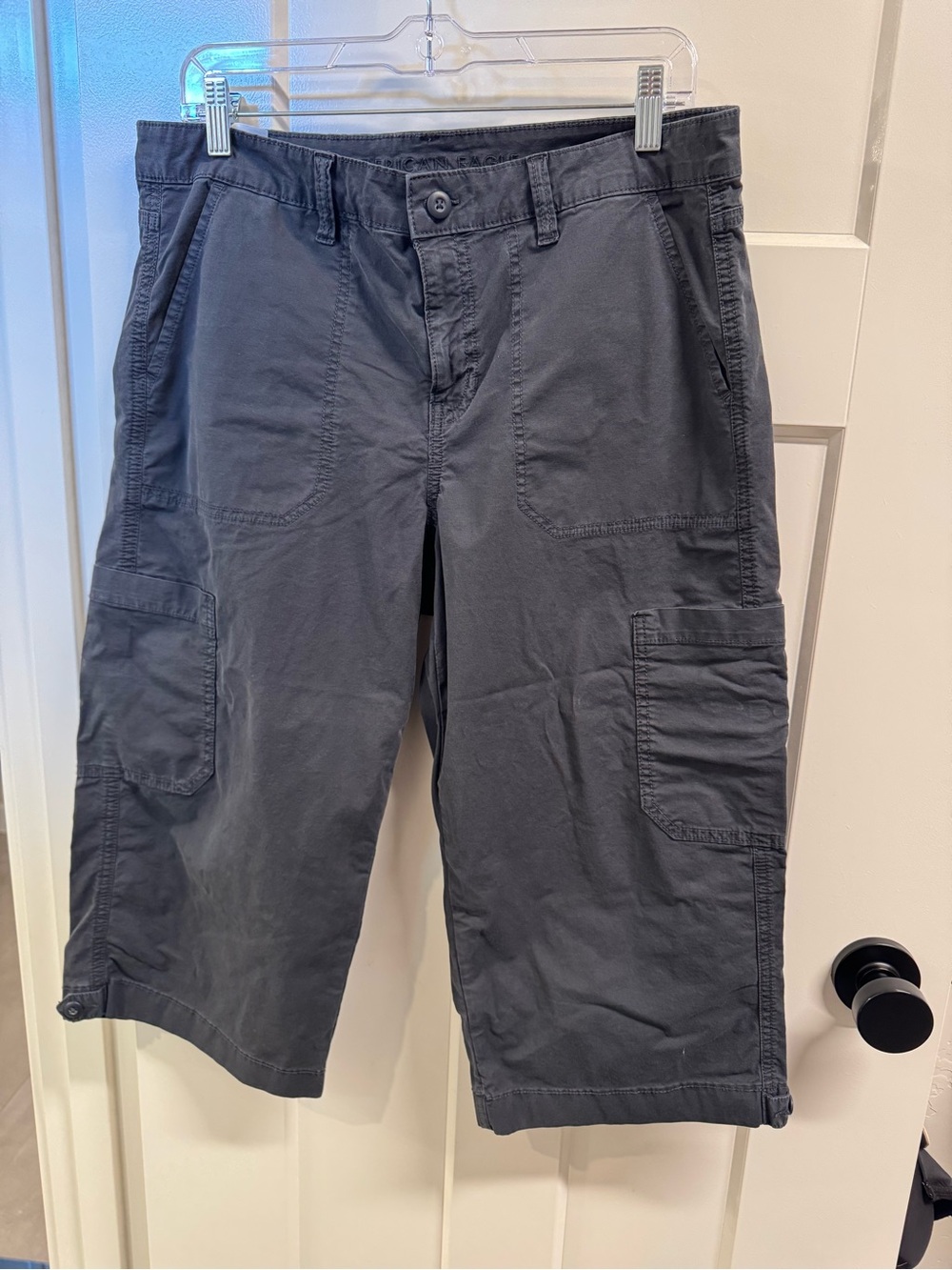 NWOT American Eagle Cropped Cargo Chinos size 10 P short